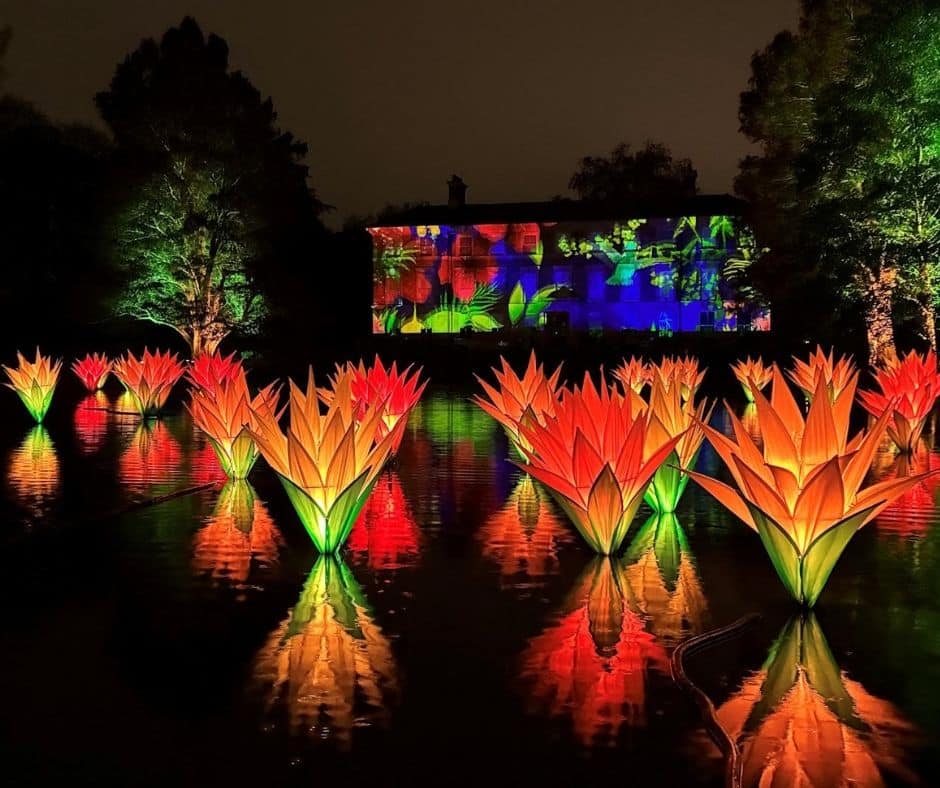 Blog Images (11) UK Christmas Light Installations