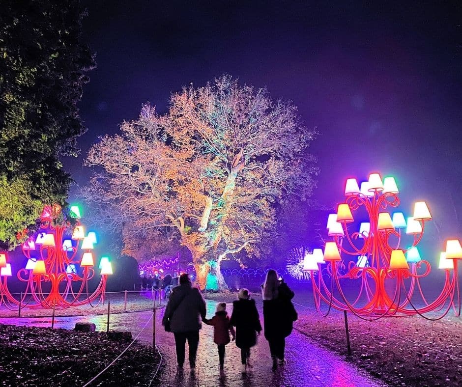 Blog Images (14) UK Christmas Light Installations