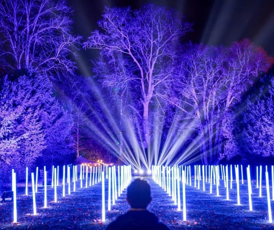 Blog Images (18) Iconic UK Christmas Light Installations