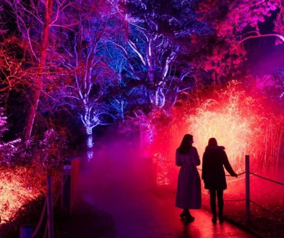 Blog Images (19) Iconic UK Christmas Light Installations