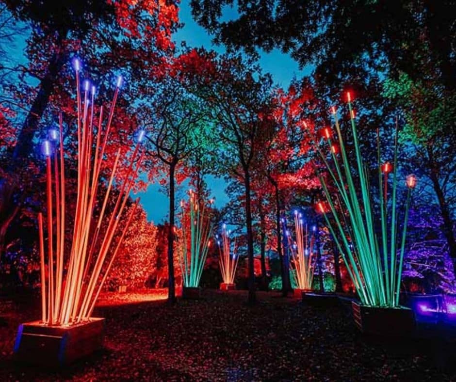 Blog Images (27) UK Christmas Light Installations