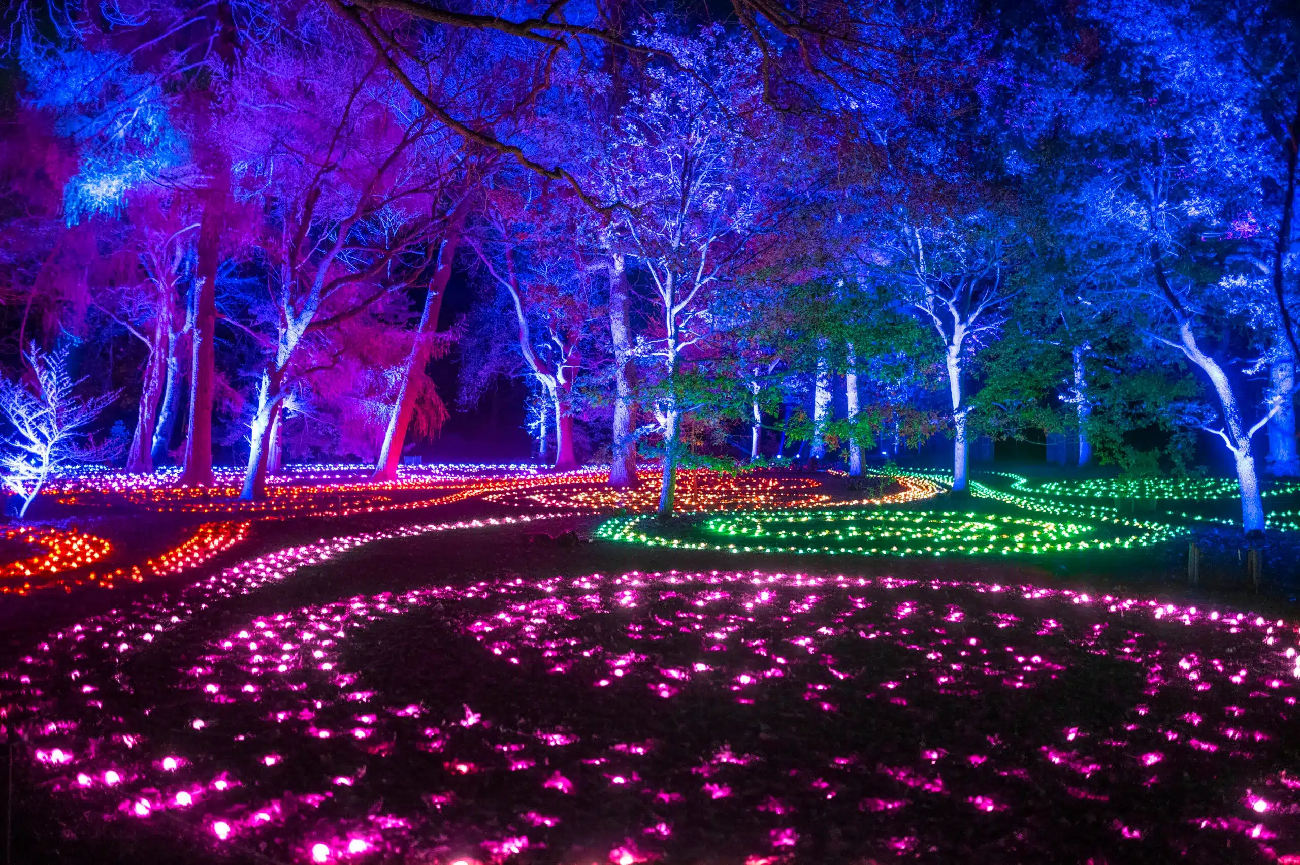 Sea-of-Light-2-scaled UK Christmas Light Installations